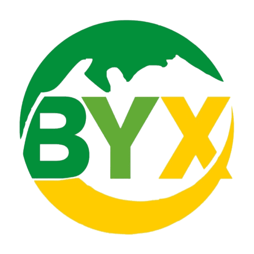 BAIYEXINlogo