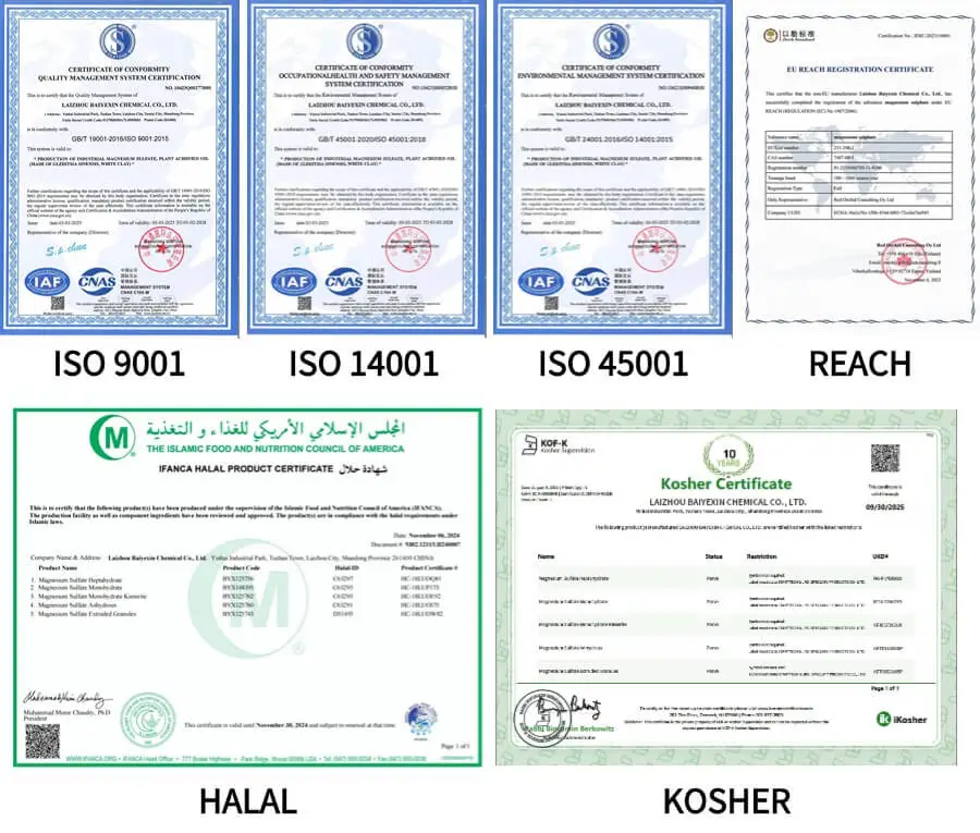 1747902197 Certification التصديق