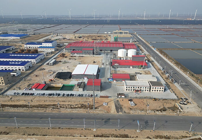 Kieserite Fertilizer Manufacturers