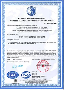 ISO 19001 آيزو 19001