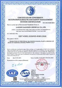 ISO 45001 آيزو 45001