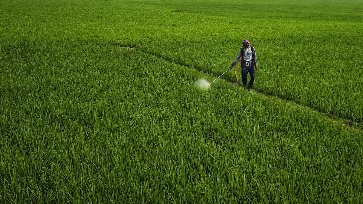 1747385071 1f957dfcd9384f46947db244586c6488 Top Magnesium Sulfate Fertilizers for 2025