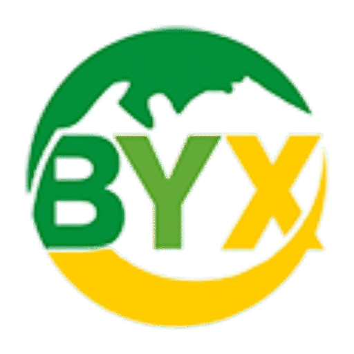 cropped-BAIYEXINLOGO125-125.png