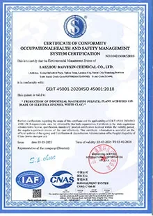 آيزو 45001 آيزو 45001